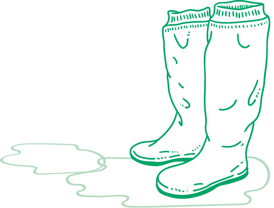Boots illustration